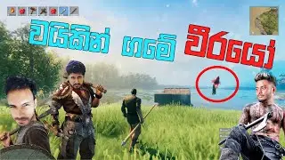 Viking ගමේ කොල්ලෝ  සෙට් එක