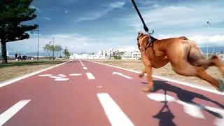 Mini test gimbal Moza Aircross 2 y Sony A7SII sobre un skate
