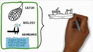 How to measure a fish stock