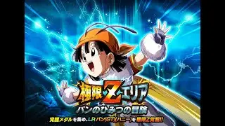Stage 2 LR GT Bee Pan Extreme Z Awakening