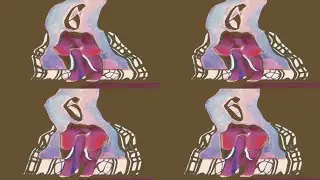 hickory dickory dock elephant in the clock effects coloers nursery rhyme 