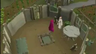 druidic ritual quide - runescape