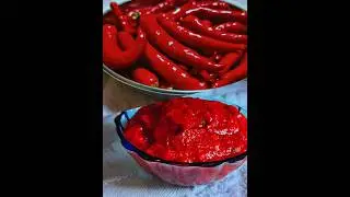 Spicy Red chilli chutney in 5 minutes#shorts#trending#viralshorts#chillichutney#spicyfood#viral
