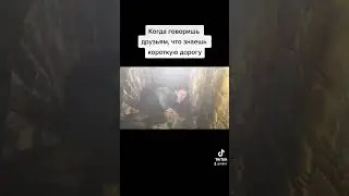 #ржач #приколы #мемы #video #youtubeshorts #like #суперсус #смех #юмор #рекомендации