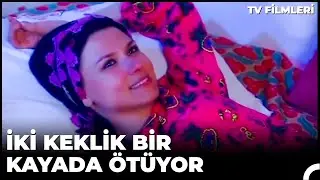 İki Keklik Bir Kayada &Ouml;t&uuml;yor | Kanal 7 TV Filmi