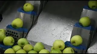 FRUIT FAIRY - Apple processing
