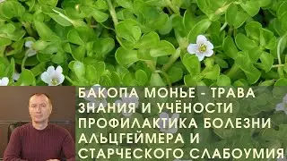БАКОПА МОНЬЕ - ТРАВА ЗНАНИЯ И УЧЁНОСТИ. ПРОФИЛАКТИКА БОЛЕЗНИ АЛЬЦГЕЙМЕРА  И СТАРЧЕСКОГО СЛАБОУМИЯ.