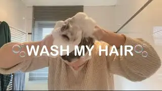 ASMR - WASH MY HAIR🫧 (foamy)