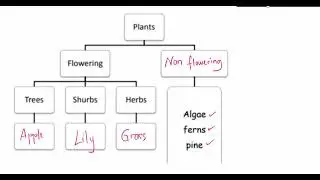 0097-quick revision notes+science primary checkpoint- biology summary notes-stage 6/grade 5-simple