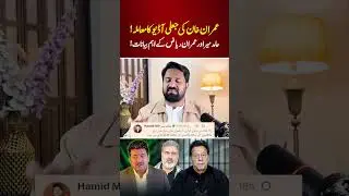 Claim of Fake Audio Targeting Imran Khan | Hamid Mir and Imran Riaz Speak Out