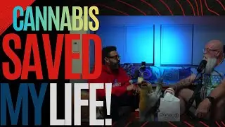 Healing Through Cannabis A Veteran&rsquo;s Journey Back to Life