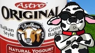 Yogurt, Balkan-Style!