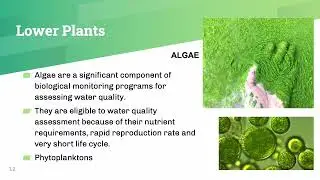 ES LECTURE 13 Bioindicators of Pollution