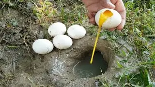 Unbelievable Fishing With Eggs _ Naturally Food Fishing.
