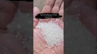 How to Sugar Mafia made Money in one Month #sugar #crisis #pakistan #hindi #urdu
