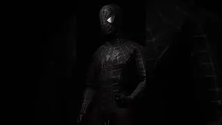 Thunder toys black suit Spider-Man! 🕷️#hottoys #thundertoys #toyphotography #actionfigures