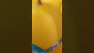 SUGAR MELON/YELLOW MELON #trending#viral#asmr#youtubeshorts#sugarmelon