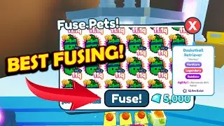 🔥 BEST FUSE METHOD FOR RAINBOW BASKETBALL RETRIEVER 🔥 PET SIMULATOR X