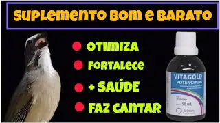 VITA GOLD POTENCIADO para TRINCA-FERRO - suplemento BOM E BARATO ! VAI OTIMIZAR sua AVE 