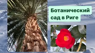 Снова в ботаническом саду 🌴🌱🌺