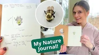 Quick Guide to Nature Journaling: Tools and Tips from a Wildlife Biologist