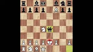 Opening Traps for black to make smothered mates