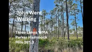 Florida Trail Thru-Hike (Three Lakes WMA; Parker Hammock - Mile 261.3)