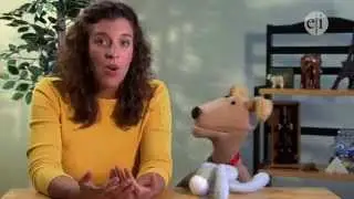 The Fred and Susie Show: Episode 5