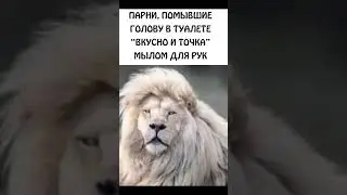 Про мытьё головы