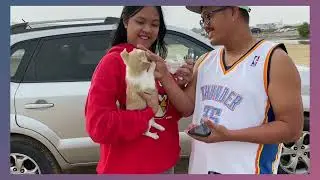 Al Wakrah Dog Beach