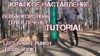 WARFIGHT - базовая техника - короткие удары по корпусу. Basic tehnique - short body punches (hooks)