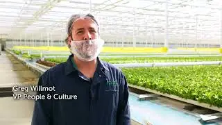 How a Family Farm Became a High Tech Greenhouse in Ontario