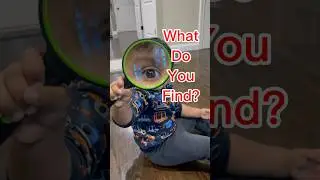 Observing a bug with magnifying glass. #scienceexperiment #kidsscienceexperiment  #entomology