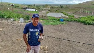 SEU CHICO MOSTRANDO A ROÇA E DANDO EXPLICAÇÃO DE NÃO TER POSTADO MAIS VÍDEO