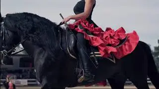Шоу Фламенко от Hidalgo Show Team