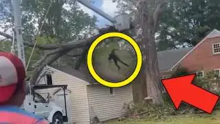 Idiots With Chainsaws Tree Cutting Fails  Extreme Dangerous Logging Truck Fails #1
