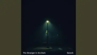 The Stranger in the Dark