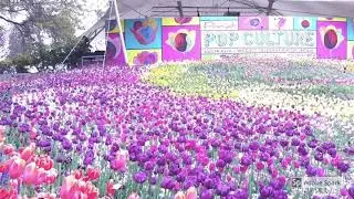 Floriade 2018 Canberra