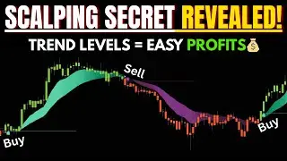 🔥Market Trend Levels Scalping Indicator &ndash; TradingView Strategy Explained💰