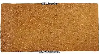 Exo Terra Sand Mat Review: Is It the Best Substrate for Your Reptile&rsquo;s Habitat?