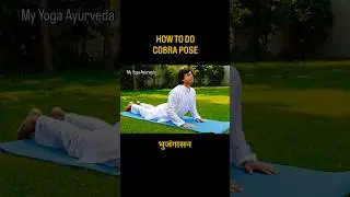 How to do Cobra Pose Correctly | Bhujangasana for Back Pain Relief #shorts