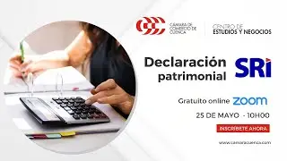 Declaración Patrimonial SRI