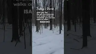 Verse of the Day (Isaiah 43:2) #verseoftheday #scripture #short