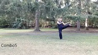 Optional Nanquan Combos
