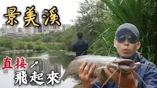 2021.04 XX 景美溪【60公分泰國鱧】直接在面前飛起來 餌真的要夠震 夠晃 夠卑鄙 通常魚都會忍不住咬一口 意外尻到藥燉土司 /泰國鱧/土司/吳郭魚/陳小Chi路亞日誌