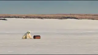 ANWR on hold: Decades-long uncertainty over Arctic refuge drilling continues