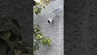 Solar camera no electricity 🤩🧰 #360camera #electrician #hikvision #home #cctv #security