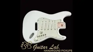 Stratocaster Loaded pickguard Silver Land Pickups 5 SSSSS BB Guitar Lab