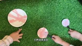 【114-1 北市蘭雅附幼】藍鯨班說演區 柚希的足球故事