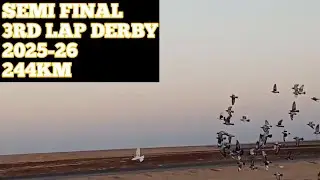 Semi  final 3rd lap derby  244km Dito na nga maubos Ibon NATIN ARAY ko